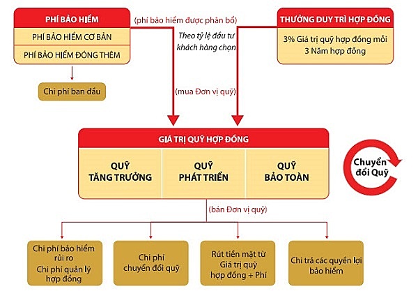 Cơ chế hoạt động của sản phẩm An Thịnh Đầu Tư